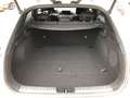Kia ProCeed / pro_cee'd 1.6 CRDi Eco-Dynamics+ (48V Mild-Hy.) DCT7 GT LINE Weiß - thumbnail 7
