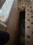 Caravans-Wohnm Elnagh Camper mansardato Elnagh Marlin su Fiat Ducato 1.9 - thumbnail 12