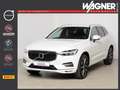 Volvo XC60 D4 AWD Geartronic Inscription *AHK*IntelliSafePRO* Wit - thumbnail 1