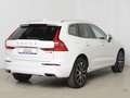 Volvo XC60 D4 AWD Geartronic Inscription *AHK*IntelliSafePRO* Weiß - thumbnail 6