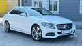 Mercedes-Benz C 200 C -Klasse Lim. C 200 CGI/Navi/PDC Blanc - thumbnail 2