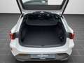CUPRA Leon CUPRA Leon Sportstourer VZ 1.5 e-HYBRID (272 PS) Weiß - thumbnail 14