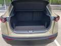 Mazda CX-30 NAGISA, BOSE, NAVI,... Braun - thumbnail 19