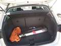 SEAT Arona 1.0 TSI 85kW (115CV) Eco Style Edition Blanco - thumbnail 9