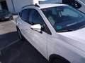 SEAT Arona 1.0 TSI 85kW (115CV) Eco Style Edition Blanco - thumbnail 15
