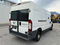 Fiat Ducato Ducato GR-Panorama 33 L2H2 2,3 JTD 120 GR-Panorama Weiß - thumbnail 3