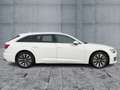 Audi A6 40 TDI QU SPORT MATRIX+NAV+ACC+AHK Bianco - thumbnail 7