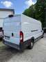Fiat Ducato Bianco - thumbnail 3