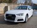Audi A4 A4 2,0 TDI S-tronic Weiß - thumbnail 1