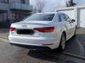 Audi A4 A4 2,0 TDI S-tronic Weiß - thumbnail 3