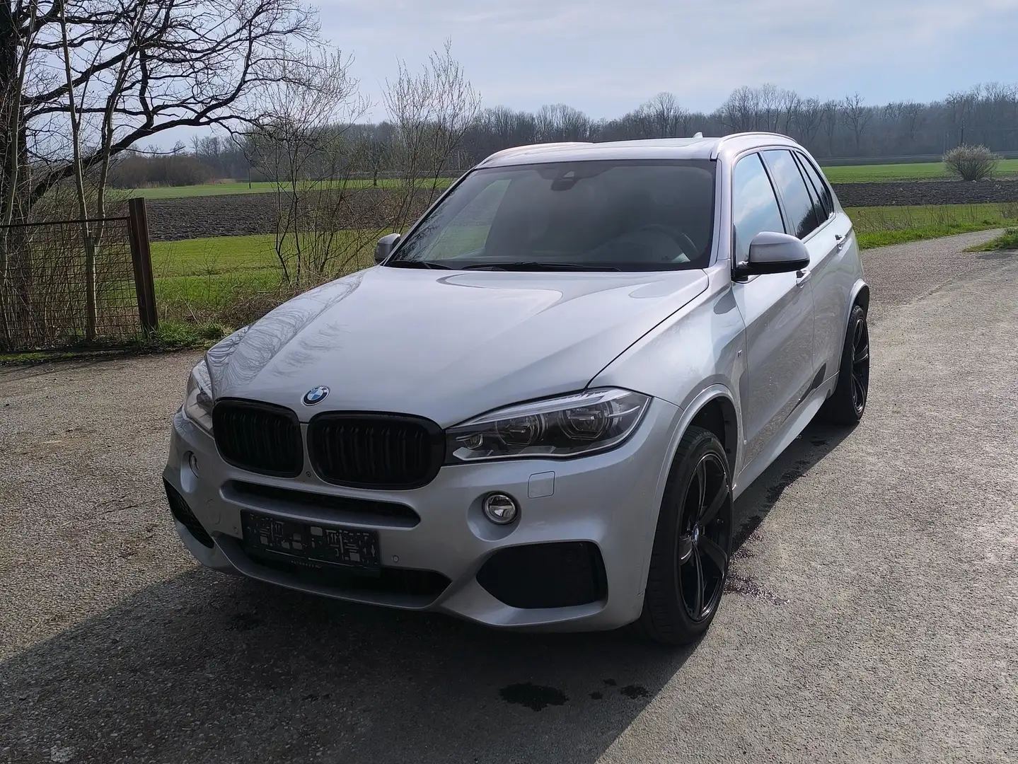 BMW X5 X5 xDrive50i 4,4l V8 Silber - 1