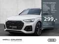 Audi SQ5 3.0 TDI 251(341)  tiptronic NAVI LUFT LED Білий - thumbnail 1