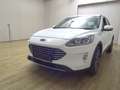 Ford Kuga 2.5 Duratec Titanium Navi PDC SHZ Weiß - thumbnail 2