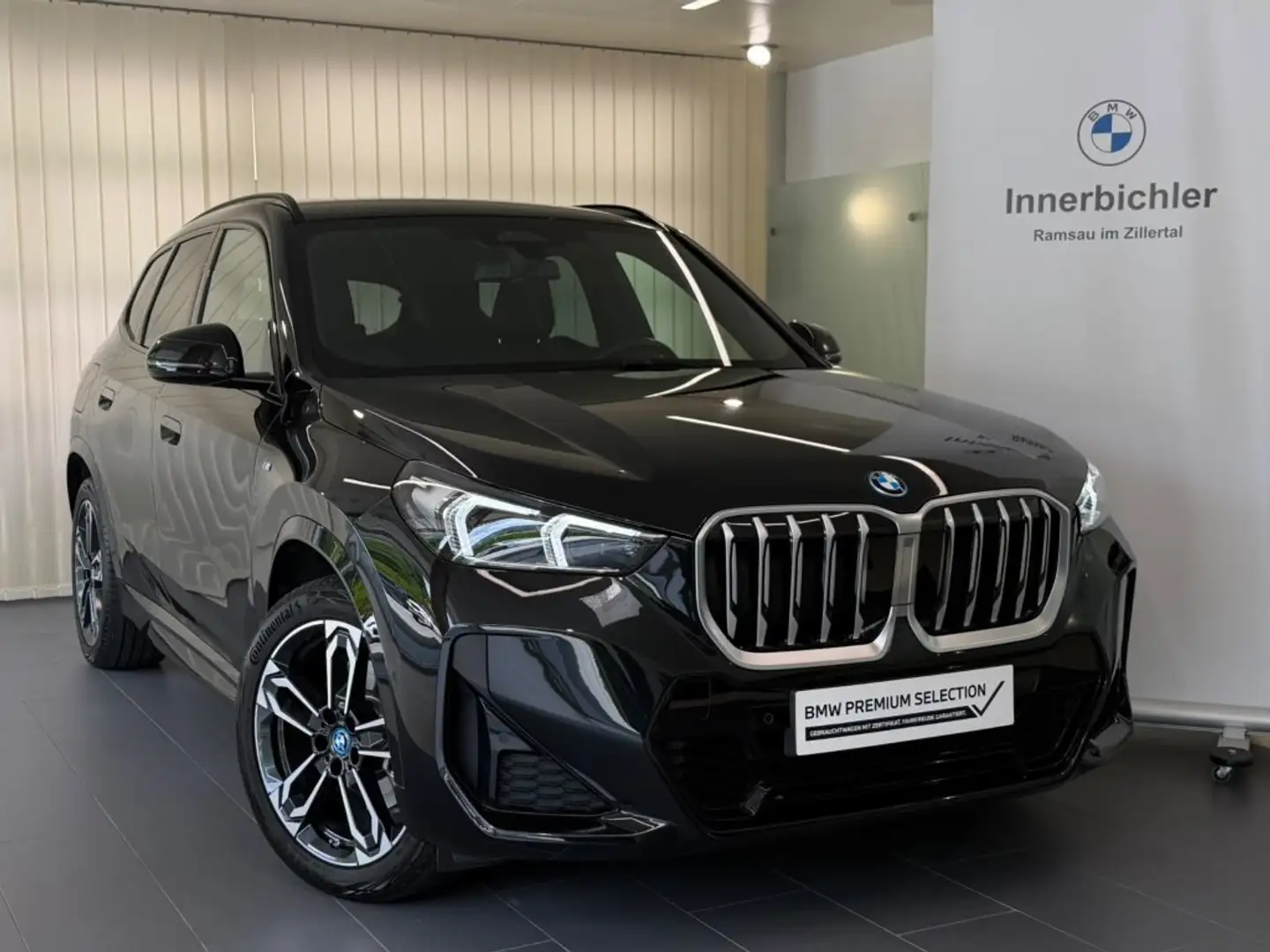 BMW X1 xDrive25e Schwarz - 1