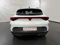 CUPRA Formentor 2.0 TDI DSG *LED*360CAM*ACC*SENNHEISER* Weiß - thumbnail 6