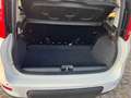 Fiat Panda 1.0 FireFly S&S Hybrid PACK CITY AZIENDALE NO VINC Blanc - thumbnail 6
