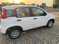 Fiat Panda 1.0 FireFly S&S Hybrid PACK CITY AZIENDALE NO VINC Blanc - thumbnail 4