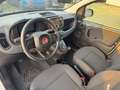 Fiat Panda 1.0 FireFly S&S Hybrid PACK CITY AZIENDALE NO VINC Blanc - thumbnail 13