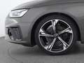 Audi A4 competition edition Assistenz-Paket Tour|AHK Grau - thumbnail 13