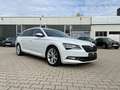 Skoda Superb Combi 2.0 TDI Premium Edition Pano-SD AHK Weiß - thumbnail 5