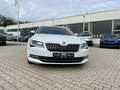 Skoda Superb Combi 2.0 TDI Premium Edition Pano-SD AHK Weiß - thumbnail 6