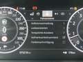 Land Rover Range Rover P565 Kompr SV Autobiography PANO/STHZ Gris - thumbnail 14