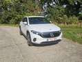Mercedes-Benz EQA 250 EQA 250+ Progressive Blanc - thumbnail 2