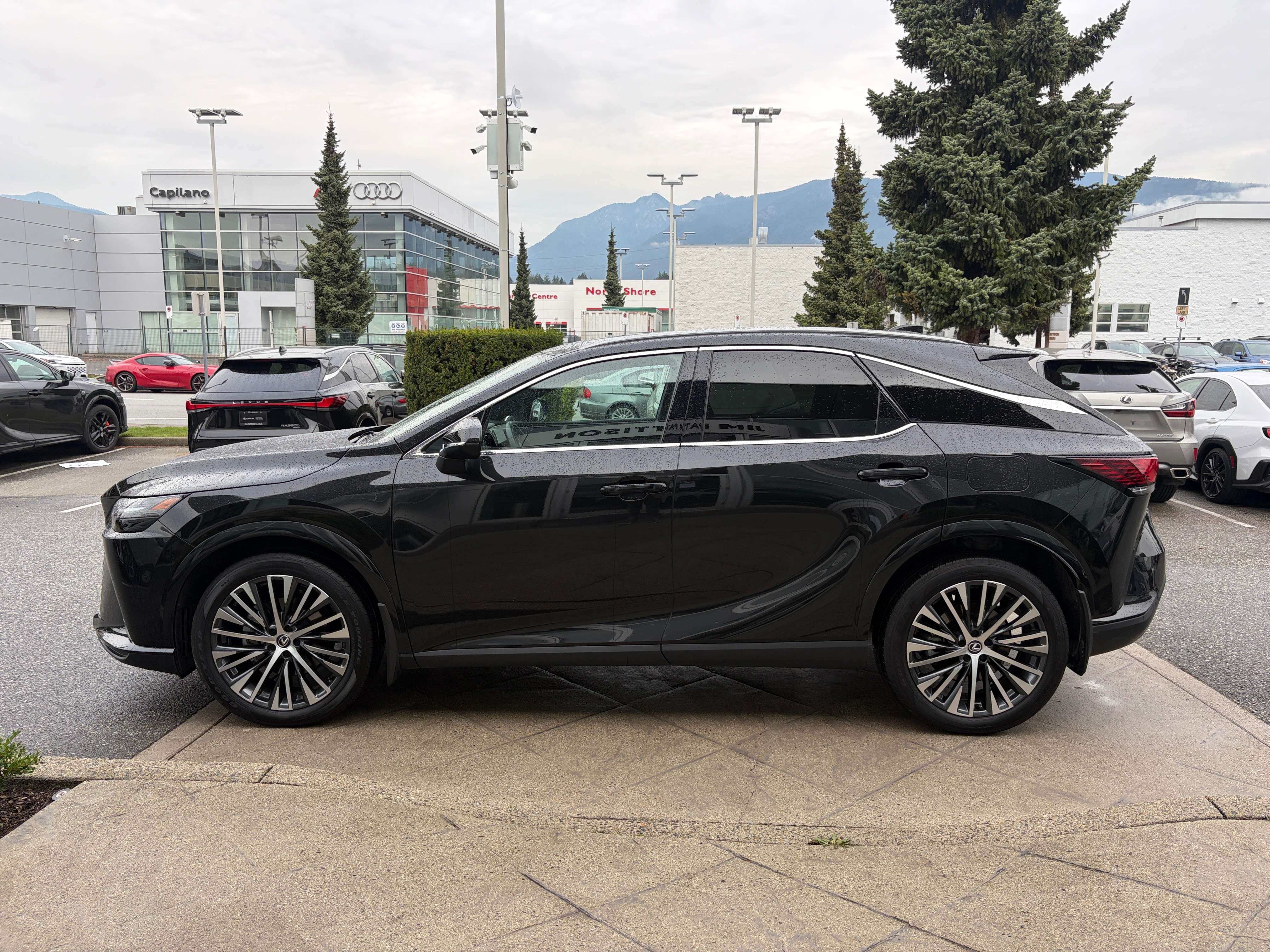 2025 Lexus RX