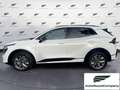 Kia Sportage Sportage 1.6 TGDi HEV AT GT-line Bianco - thumbnail 12