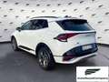 Kia Sportage Sportage 1.6 TGDi HEV AT GT-line Bianco - thumbnail 11