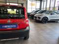 Fiat Panda 1.2 8V Trekking 4X4 *ABS*ALLRAD*ZENTRALVER Rot - thumbnail 28