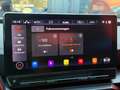 CUPRA Formentor VZ4Drive|MattLack|Pano|Remus|AHK|Kamera|Beats|Voll Grau - thumbnail 33