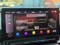 CUPRA Formentor VZ4Drive|MattLack|Pano|Remus|AHK|Kamera|Beats|Voll Grau - thumbnail 29