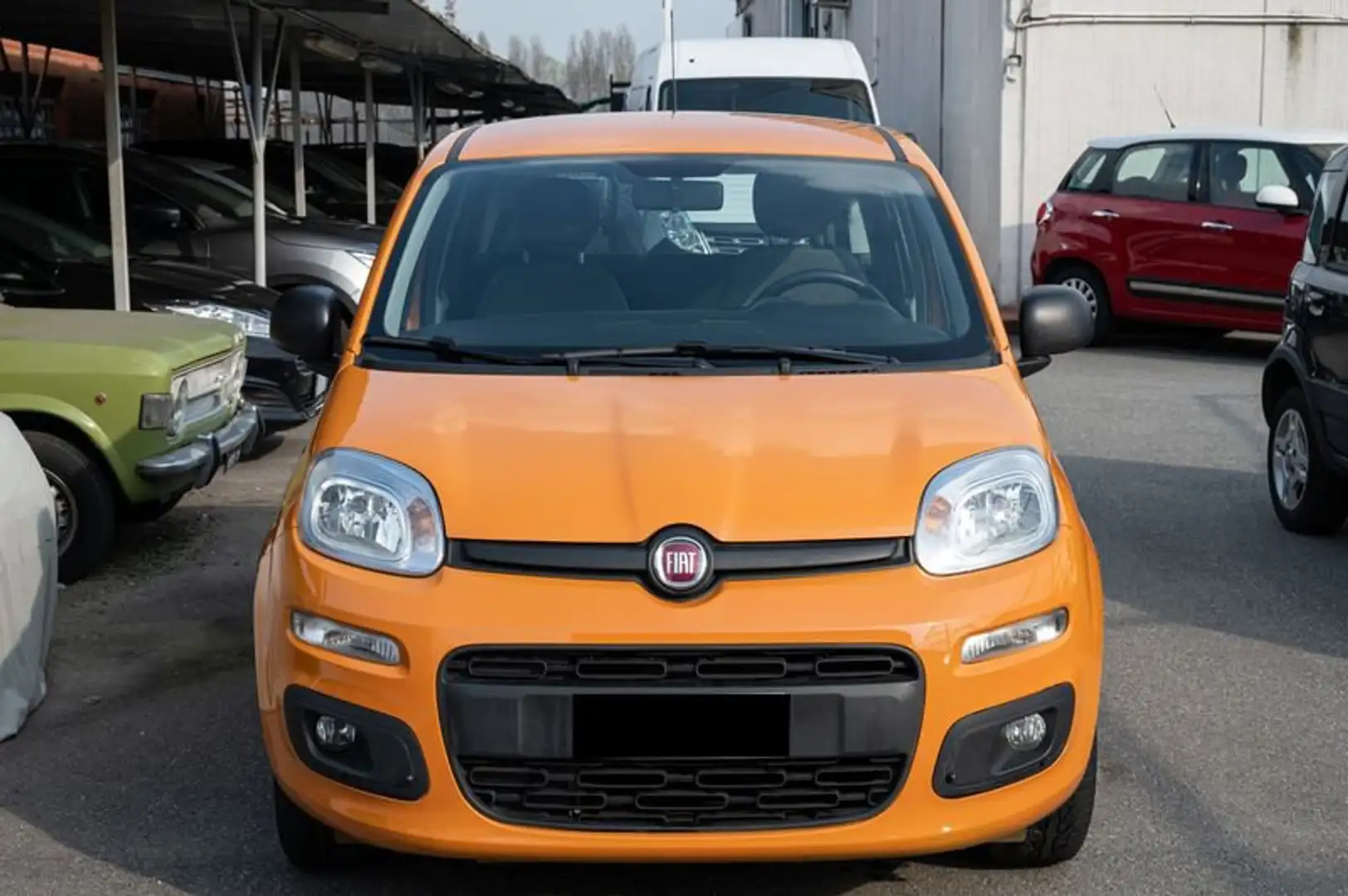 Fiat Panda 1.2 EasyPower Orange - 2