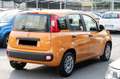 Fiat Panda 1.2 EasyPower Orange - thumbnail 5