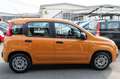 Fiat Panda 1.2 EasyPower Orange - thumbnail 4
