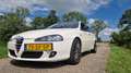 Alfa Romeo 147 1.6 TS Collezione II Blanc - thumbnail 2
