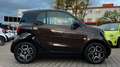 smart forTwo Coupé DCT BROWN & BLACK EDITION! NUR 32TKM! Braun - thumbnail 10