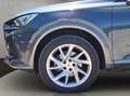 CUPRA Formentor 1.5 TSI 360 Kamera Rückfahrkamera Wint Gris - thumbnail 19