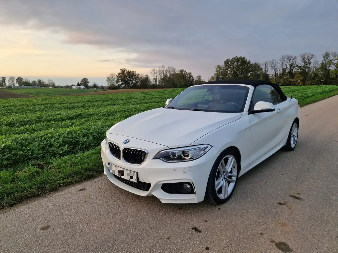 BMW 228