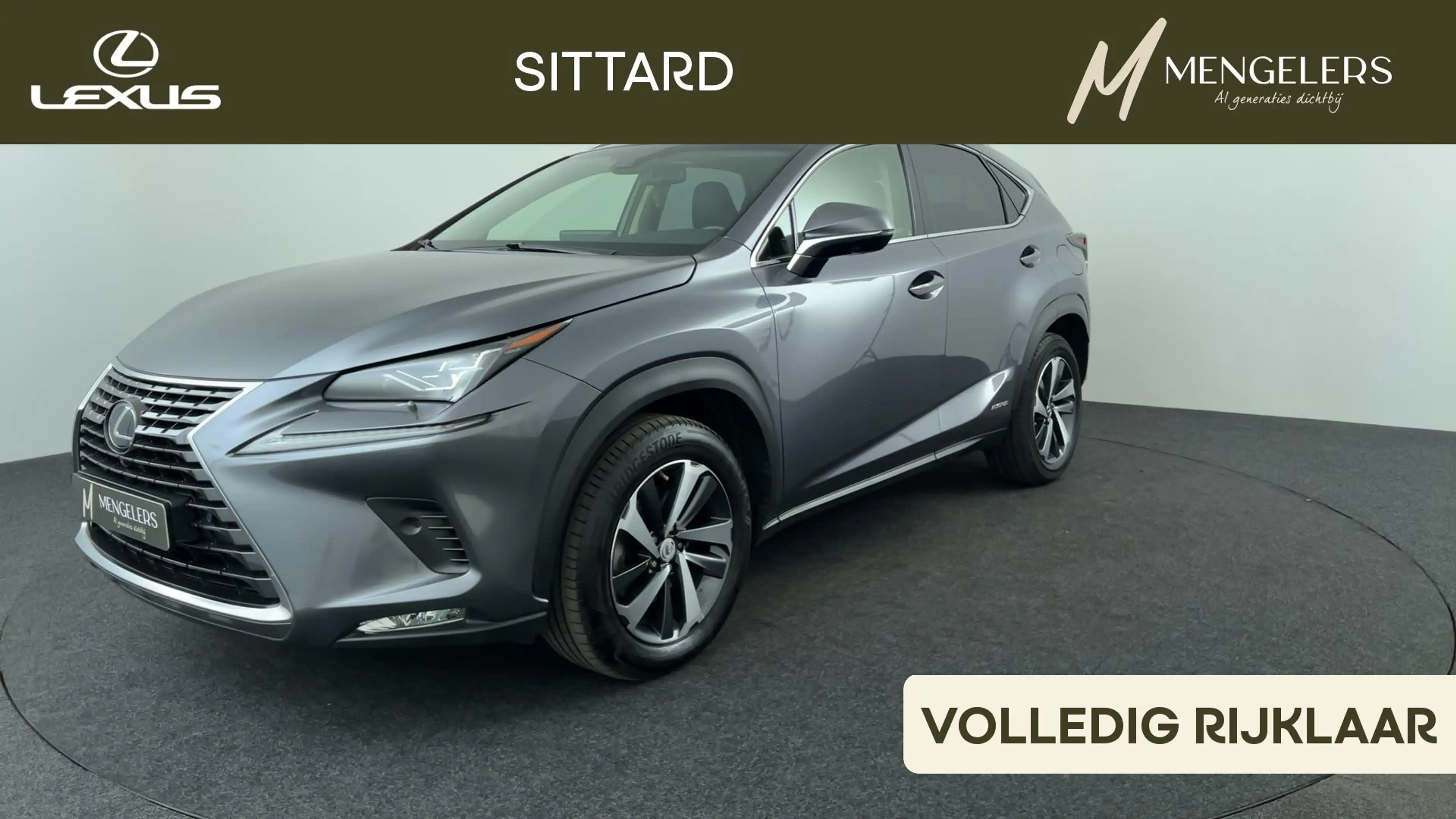 Lexus NX 300h AWD President Line Schuif kanteldak
