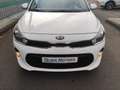 Kia Rio Rio 1.4 Automatik Dream-Team Edition Weiß - thumbnail 3
