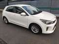 Kia Rio Rio 1.4 Automatik Dream-Team Edition Weiß - thumbnail 12