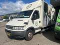 Iveco Daily Daily 40C14 375 | Bakwagen - thumbnail 5