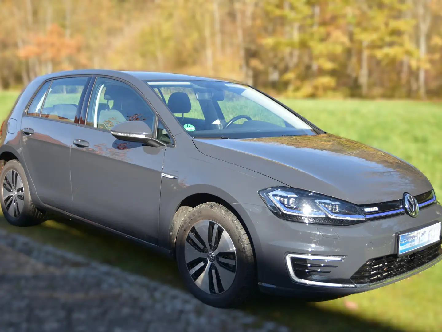Volkswagen e-Golf Golf VII e-Golf Grau - 1