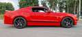 Shelby Mustang Super Snake GT500 SVT - thumbnail 4