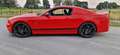 Shelby Mustang Super Snake GT500 SVT - thumbnail 3