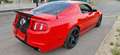 Shelby Mustang Super Snake GT500 SVT - thumbnail 5