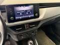Skoda Kamiq 1.0 TSI SC DSG *Tempomat*AHK*Dachbox* Grau - thumbnail 15
