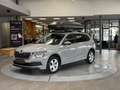 Skoda Kamiq 1.0 TSI SC DSG *Tempomat*AHK*Dachbox* Grau - thumbnail 1